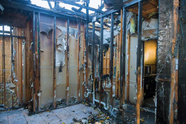Professional Fire Damage Repair technician working in Lutherville, MD
